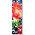 Bandeau de promotion pour ardoise primeur 1824 avec décor fraises (Lot de 10)