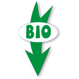 BIG FLECHE Ovale Verte Fond Blanc / Texte BIO Vert