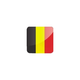 Dôme adhésif en résine drapeau de pays BELGIQUE